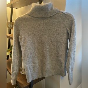 Everlane Cashmere Turtleneck Sweater